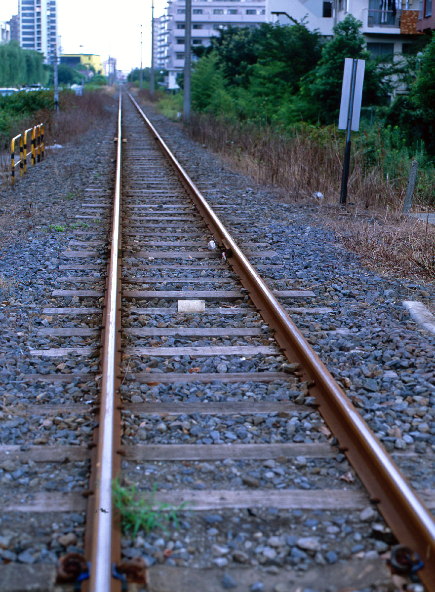 d0032258_645876.jpg