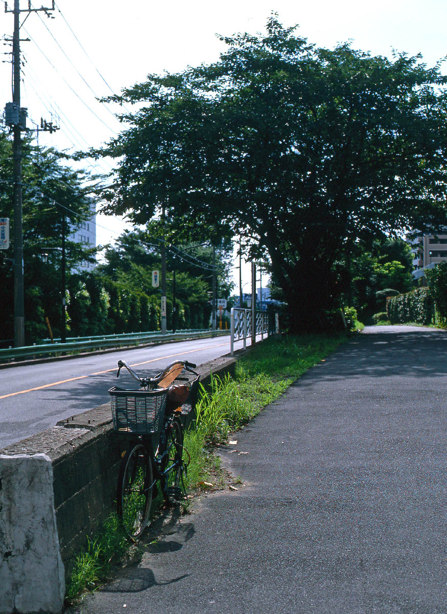 d0032258_653180.jpg