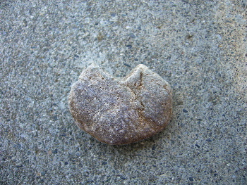 b0015260_16271758.jpg