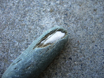 b0015260_16293327.jpg
