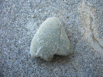 b0015260_16294427.jpg