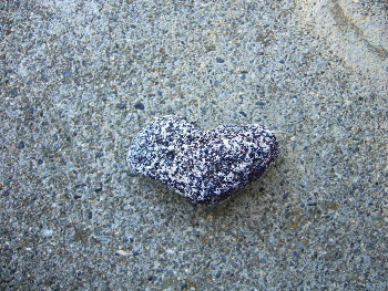 b0015260_16311044.jpg