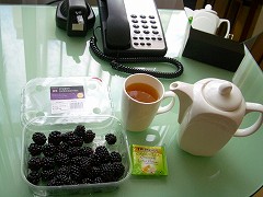 c0089360_2339327.jpg
