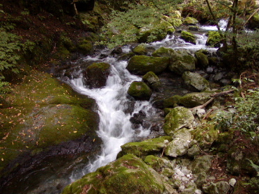 a0063364_23333853.jpg