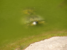 c0028664_22272852.jpg