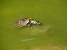 c0028664_22283326.jpg