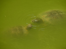 c0028664_22293985.jpg