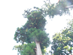 c0028664_2254209.jpg