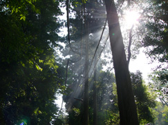 c0028664_2320139.jpg