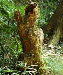 c0028664_23282683.jpg