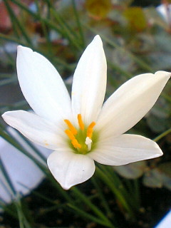 a0064865_15403443.jpg