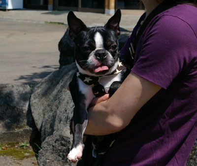 c0032567_20111758.jpg
