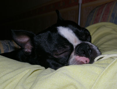 c0032567_2012849.jpg