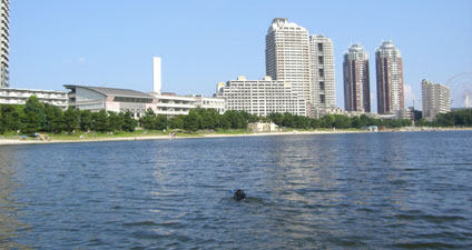 f0025769_2164945.jpg