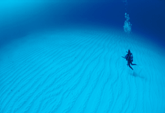 e0056370_17363921.gif