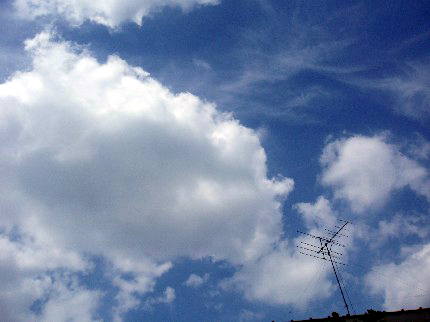 b0060071_1245343.jpg
