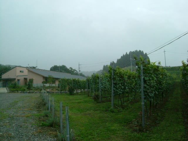 e0078071_126258.jpg