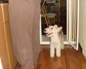 b0091373_072254.jpg