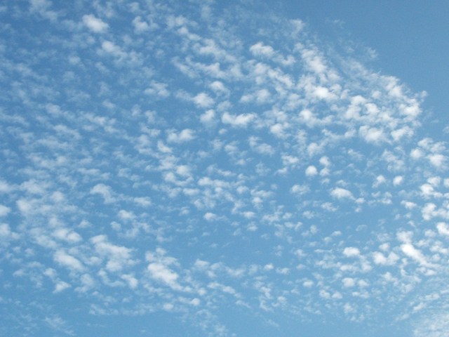 d0004574_0343655.jpg