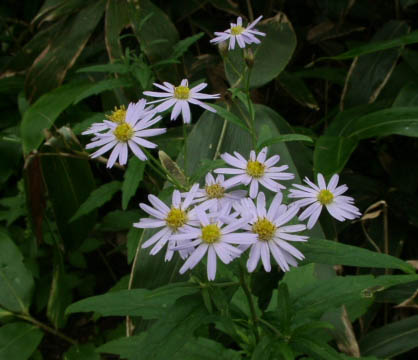 a0079880_15462363.jpg