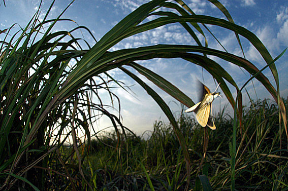 f0090680_23365014.jpg
