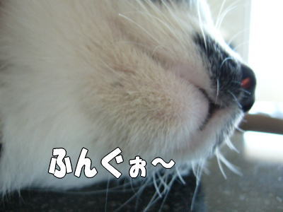 b0041182_201028.jpg