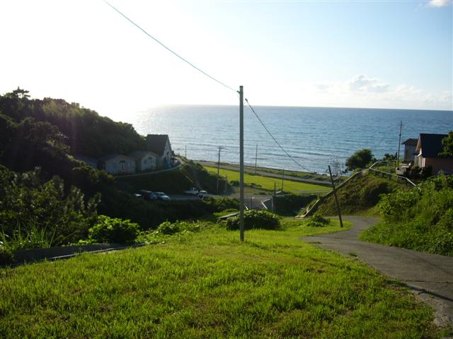 b0025884_22175694.jpg