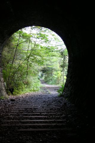 d0078286_0282867.jpg
