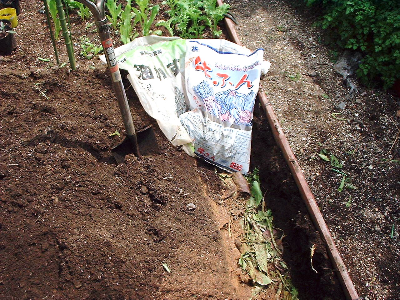 f0085291_1742420.jpg