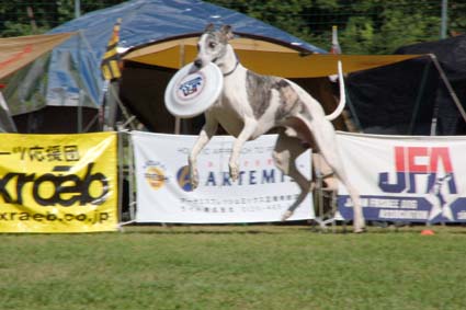 f0094391_16193635.jpg