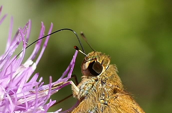 b0078795_21353072.jpg