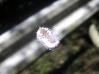 e0083097_17333750.jpg