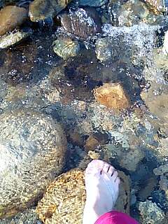 a0056498_2163980.jpg