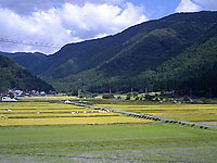 f0059901_1813411.jpg