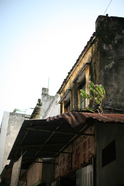 a0008508_22382047.jpg