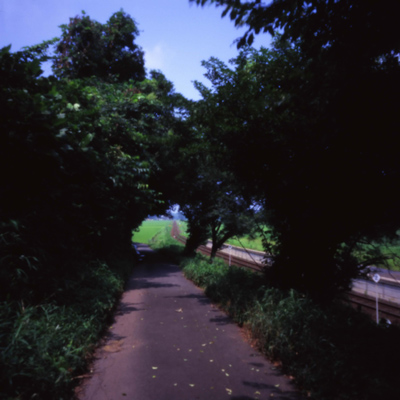c0016712_15282825.jpg