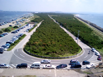 e0084625_1855243.jpg