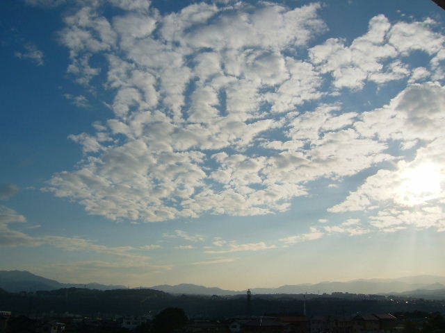 e0064227_19432954.jpg