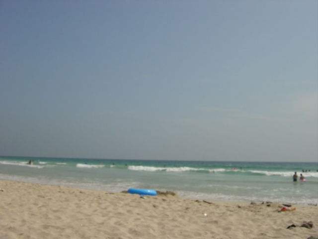 d0064329_103263.jpg
