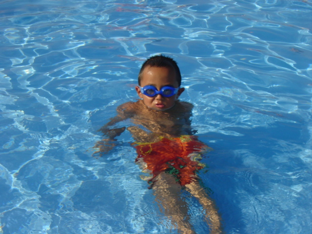 d0064329_106461.jpg