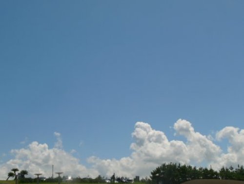 d0018131_18445223.jpg