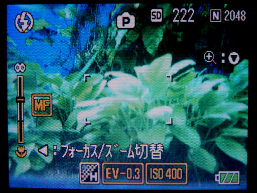 c0032138_9262881.jpg