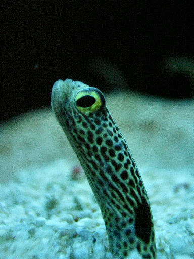 c0032138_927479.jpg