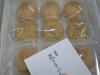 c0014846_12494255.jpg