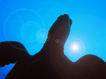 d0065247_0105760.jpg