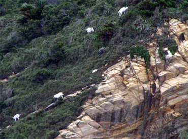 d0065247_0124876.jpg