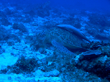 d0065247_092151.jpg
