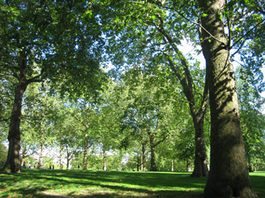 e0086048_17574217.jpg