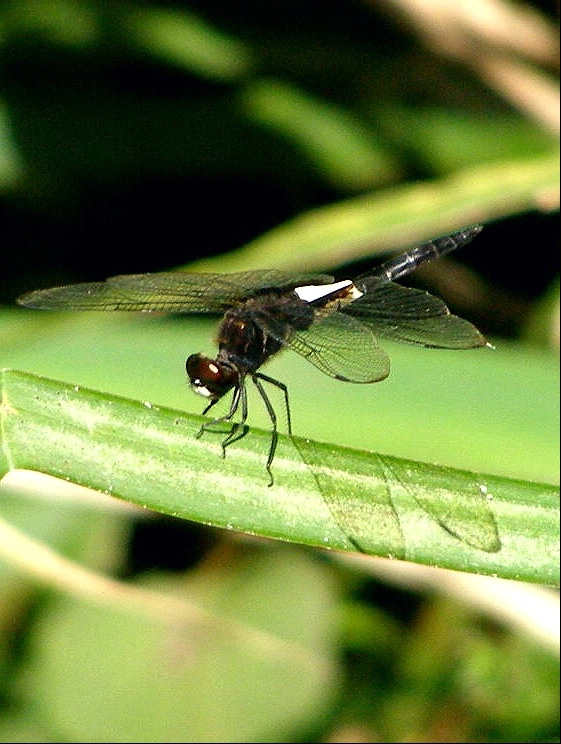 e0064158_0142695.jpg