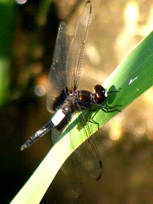 e0064158_0144136.jpg